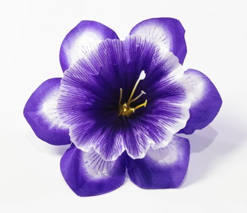 Насадка нарцисса