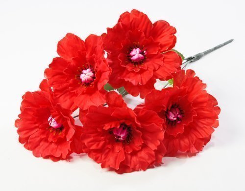 Георгин "Августа" 5 цветков