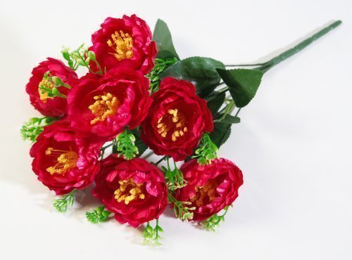 Букет пиона "Марусенька" 7 цветков