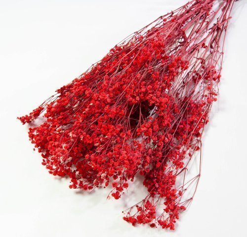 Гипсофила 4