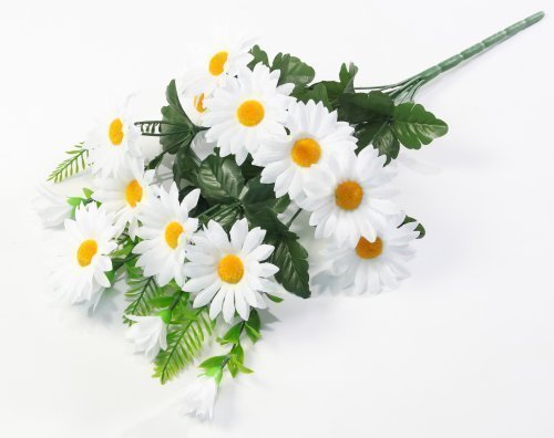 Ромашка "Алтайская" 11 веток
