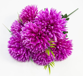 Хризантема "Никон" 7 цветков