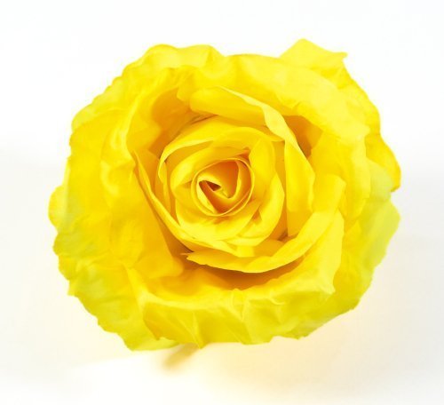 Насадка розы "Нива"