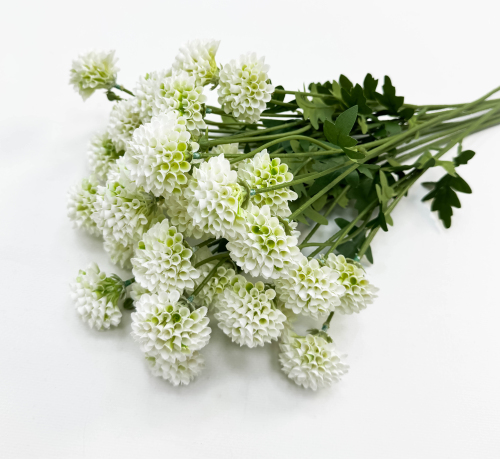 Георгин помпонный белый