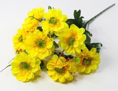 Георгин "Василиса" 9 цветков