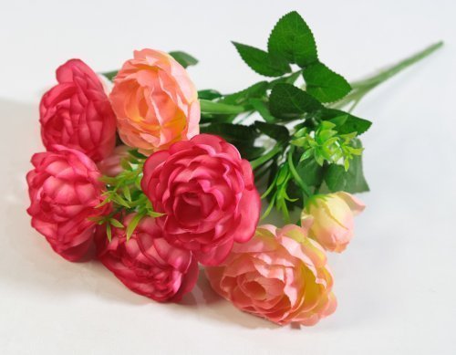 Букет пионов "Экстрим" 7 цветков