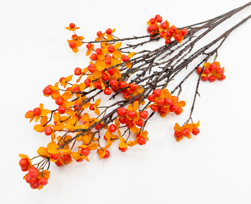 Морошка оранжевая