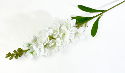 Дельфиниум "Кавалер"