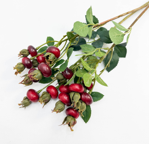 Шиповник "Яблочный" красный