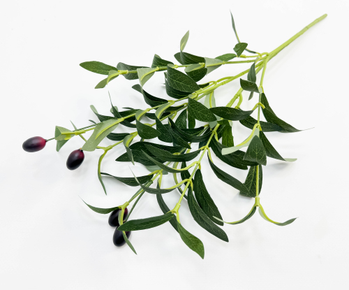 Олива букет 6 веток