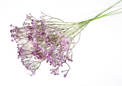Ветка гипсофилы "Светло-лиловая" купить по выгодной цене в интернет ...