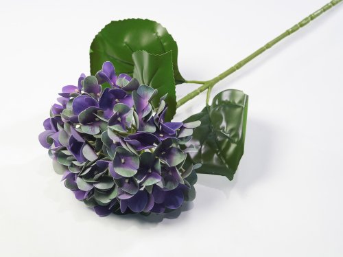 Гортензия глубокий фиолетовый