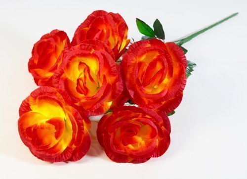 Букет роз "Великан" 6 цветков