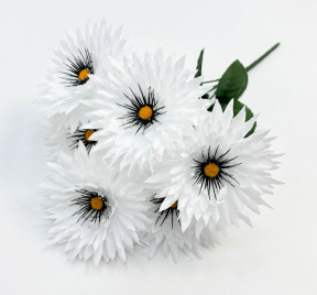 Ромашка "Белогововник" 6 цветков