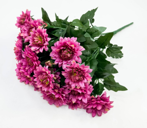 Георгин "Лебёдушка" 18 цветков