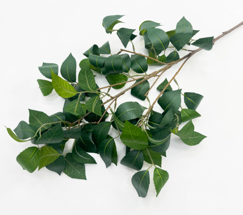 Ветка с крупным резным листом высокая