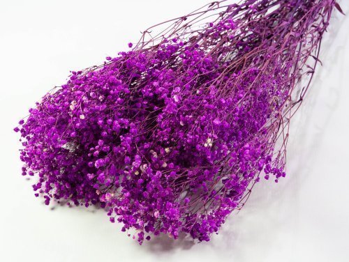 Гипсофила 5