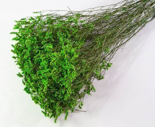 Лимониум стабилизированный 5