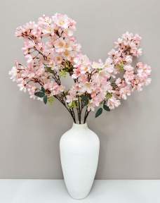 Сакура мелкопильчатая светло-розовая