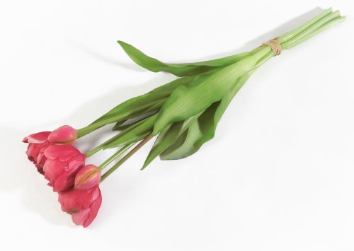 Букет открытых тюльпанов 3+2 красный