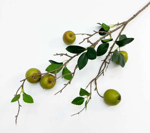 Ветка зеленой ранетки 5 плодов