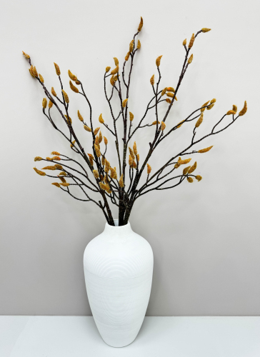 Ветка магнолии с почками