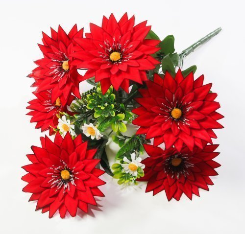 Георгин с ромашкой "Багира" 6 цветков