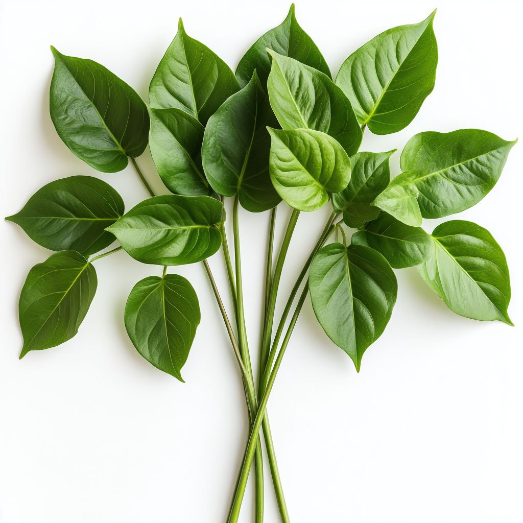 Листья и лианы