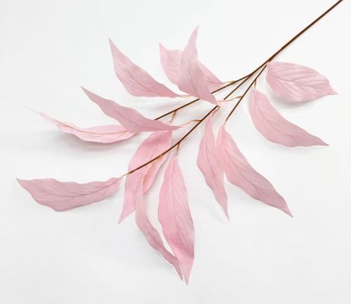 Аглаонема декоративная светло-розовая