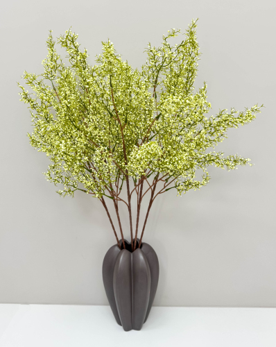 Ветка «Нефритовая лоза»