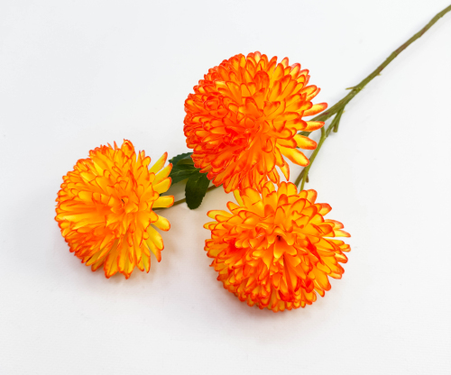Хризантема 3 цветка 