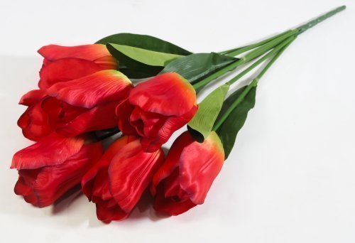 Тюльпаны крупные 7 цветков