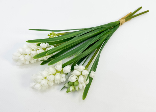 Гиацинт белый