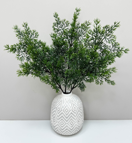 Туя "Летняя пора" темно-зеленая