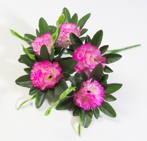 Букет гвоздик "Вихрь" 5 цветков