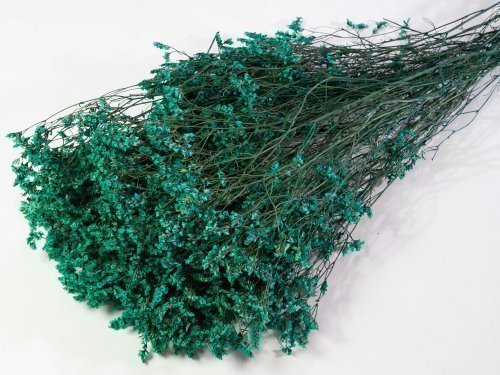 Лимониум стабилизированный 4