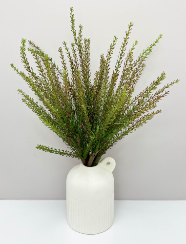 Вереск "Эрика" осень