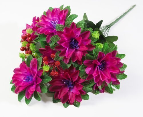 Георгин с ягодкой 8 цветков