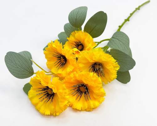 Рудбекия махровая 5 цветков