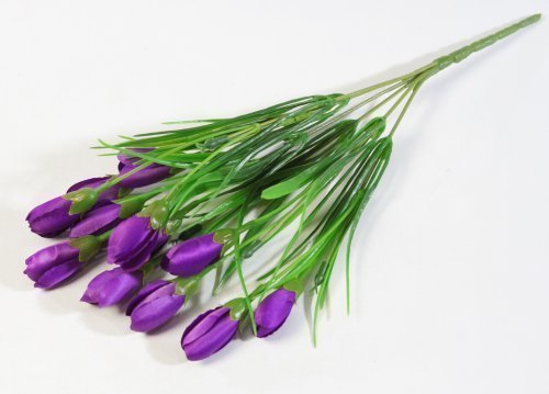 Крокус "Капрал" 12 цветков