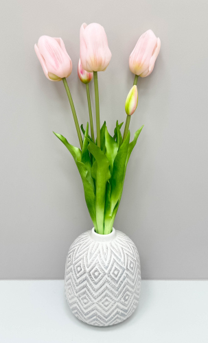 Тюльпан "Корона весны" нежно-розовый