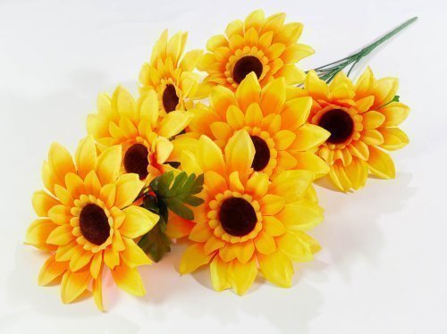 Подсолнух гигант