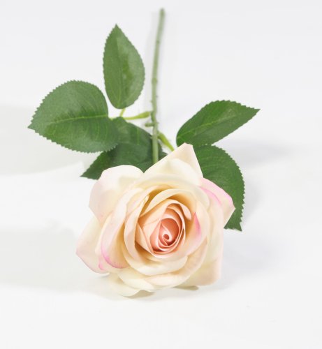 Роза с латексным покрытием открытая "Бананомания"