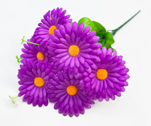 Ромашка "Многокрасочная" 6 цветков