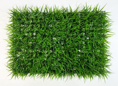 Газон Садовый