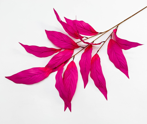 Аглаонема декоративная розовая