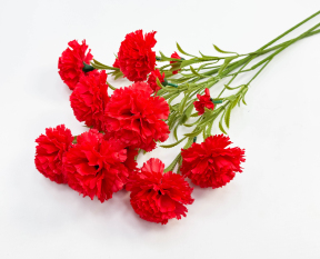 Гвоздика "Вояж" 3 цветка 3 бутона