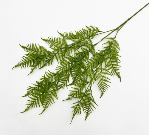 Даваллия Мариса на высокой ноге