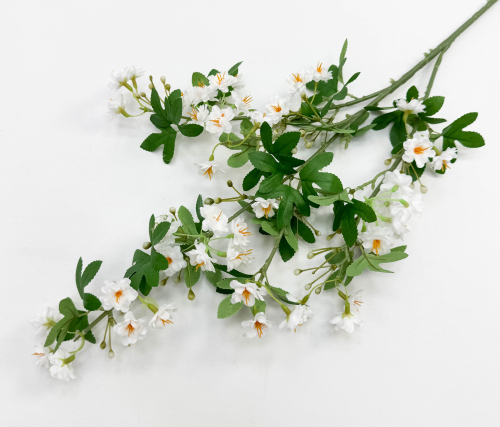 Цветущая вишня "Зефирное утро" белая