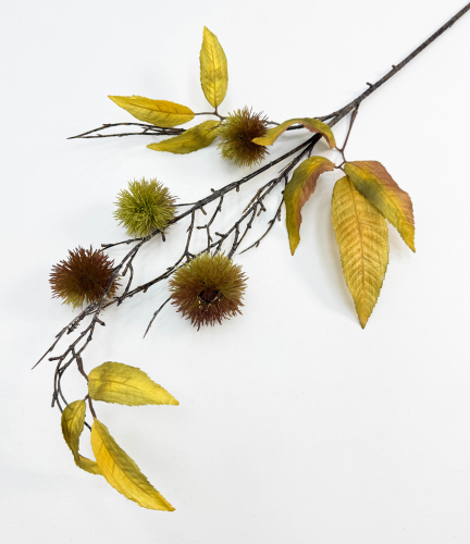 Ветка каштана